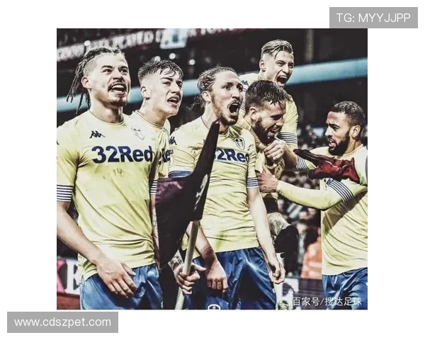 欧冠篮球联赛2017赛季赛事结构与球队表现解析 欧冠篮球联赛2017赛季赛事结构与球队表现解析