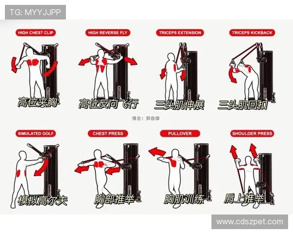 综合健身器材使用方法:全身锻炼器材详解 综合健身器材使用方法:全身锻炼器材详解