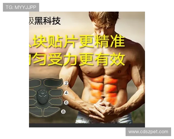 腹肌训练常用健身器材及使用技巧 腹肌训练常用健身器材及使用技巧