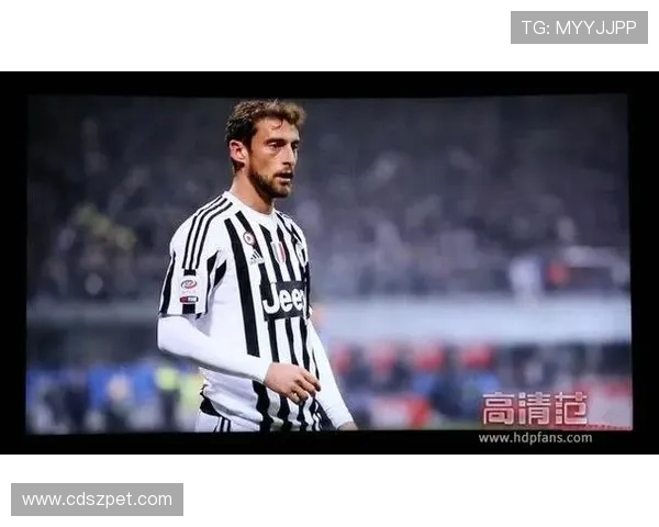 乐视网欧冠赛事录播及用户观看体验反馈