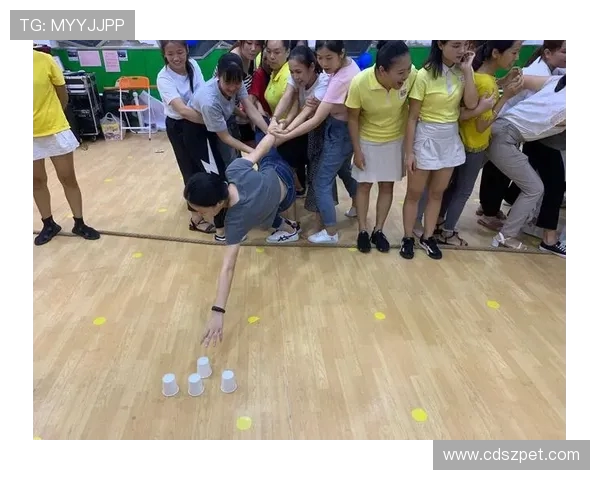 火箭队官方队歌歌词、旋律及球迷版本收录