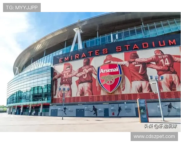 英超球队中国球迷市场的增长与影响