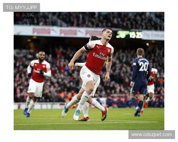 英超球队的绿色环保措施