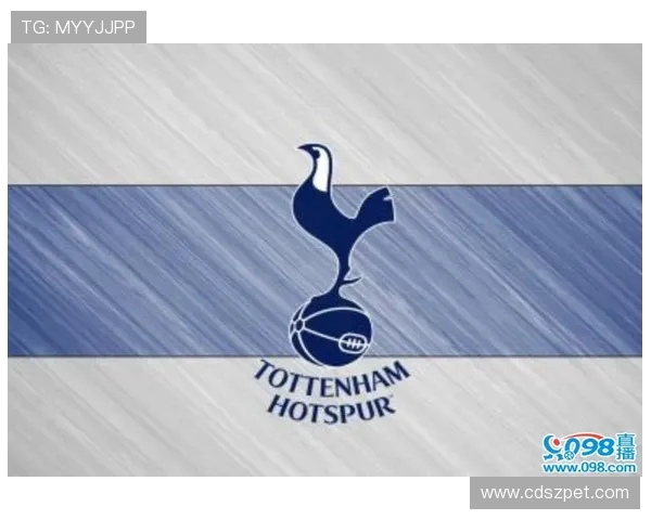 英超球队队徽gif动态设计与展示特辑