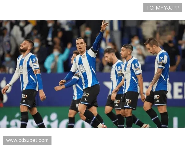 西甲联赛西班牙人对巴比赛精彩回顾