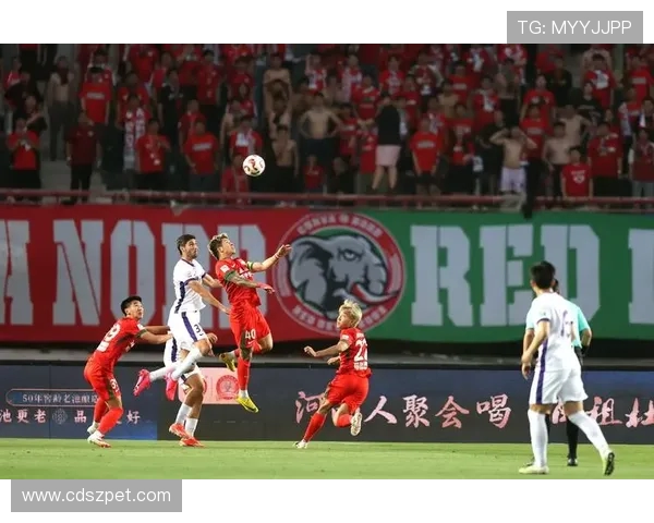 郑州中超联赛城市承办情况与球队介绍