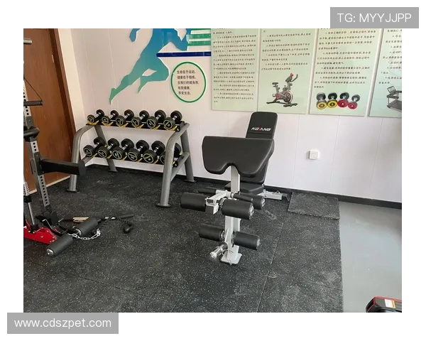 高端健身器材品牌推荐，助你打造完美身材与健康生活