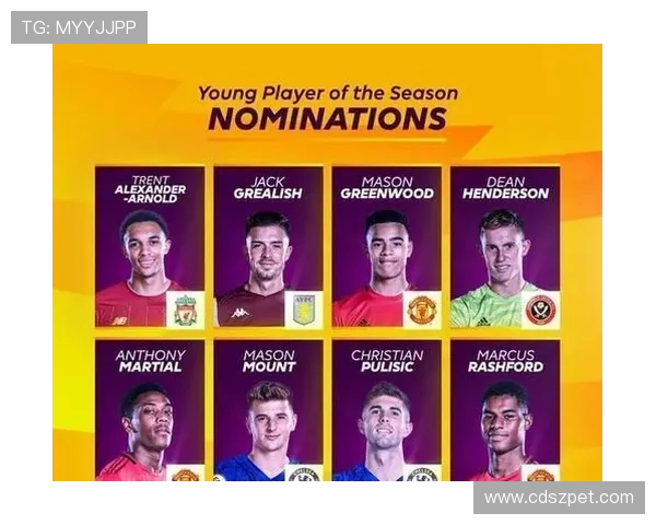 14名英超最佳球员名单及赛季表现总结