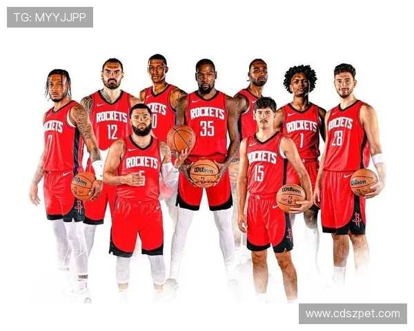 2009年NBA火箭队赛季表现及其影响力全面评估