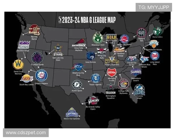 NBA球员人数统计及联盟规模分析