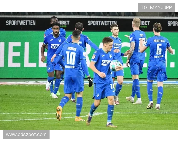 中国资本入驻德甲:盘点被中国老板收购的德国足球俱乐部