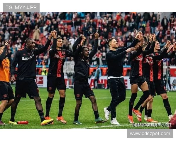 德甲历史上的冠军球队汇总及回顾