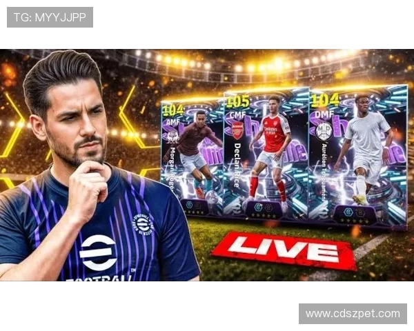 德甲球队实况直播视频资源及观看指南