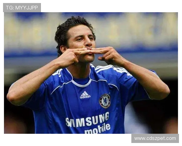 德甲球队财政状况报告及俱乐部财务健康度