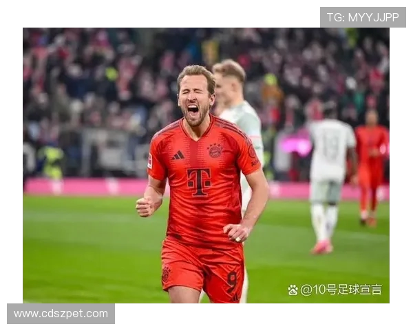 德甲联赛中最糟糕球队的历史表现回顾