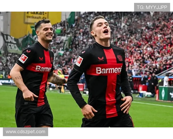 欧洲杯中德甲球队表现与整体战术风格分析