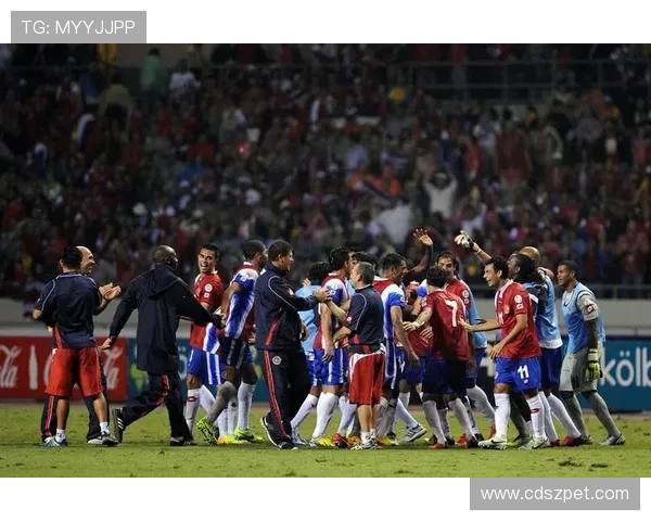 法甲主场数据分析及主场优势探讨 法甲主场数据分析及主场优势探讨