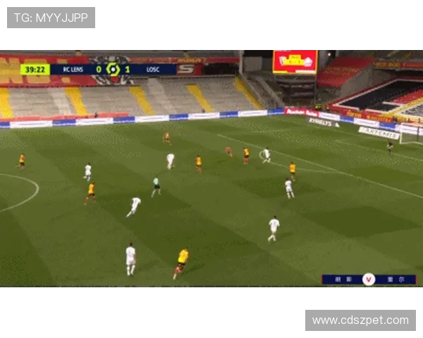 法甲外援战力评估报告:赛季表现及其对球队竞争力的影响 法甲外援战力评估报告:赛季表现及其对球队竞争力的影响