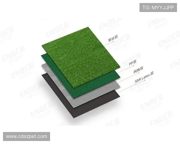 法甲比赛场地草皮、面积及硬件数据详解 法甲比赛场地草皮、面积及硬件数据详解