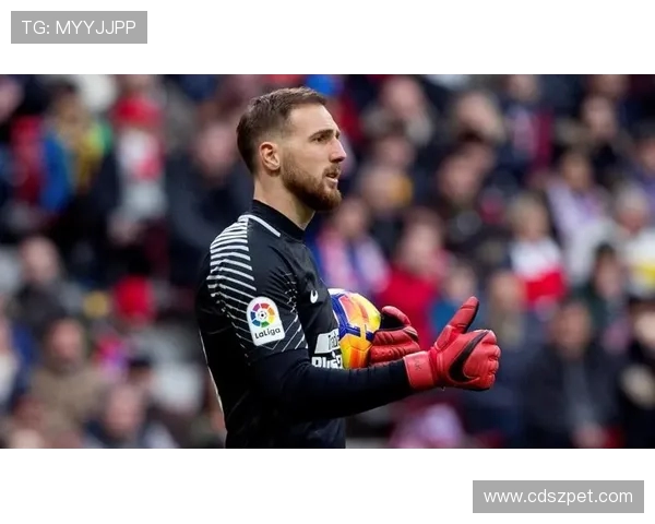 法甲球员合同内容揭秘:转会费、违约金与奖金机制 法甲球员合同内容揭秘:转会费、违约金与奖金机制