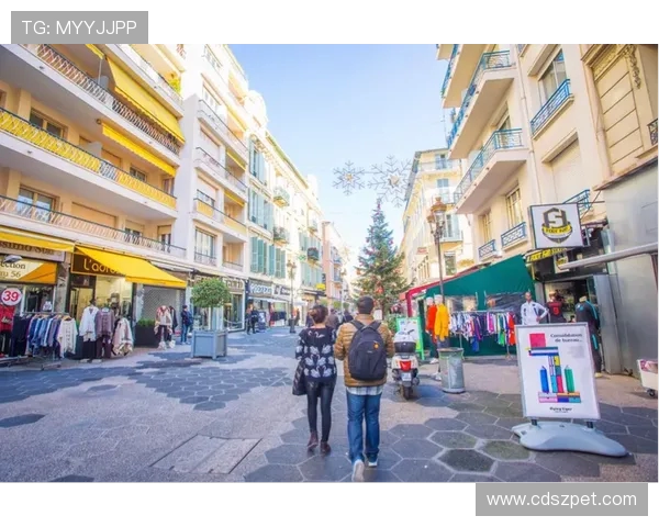 法甲球队市场战略布局与俱乐部商业化发展路径 法甲球队市场战略布局与俱乐部商业化发展路径