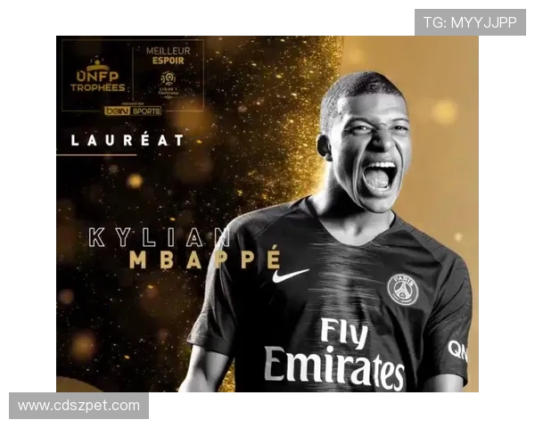 法甲赛季转会分析报告:转会窗口表现与投入产出比评估 法甲赛季转会分析报告:转会窗口表现与投入产出比评估