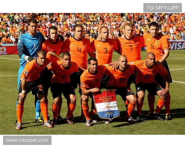 2000欧洲杯意大利对阵荷兰点球大战背后的荣耀与悲情瞬间传奇 2000欧洲杯意大利对阵荷兰点球大战背后的荣耀与悲情瞬间传奇