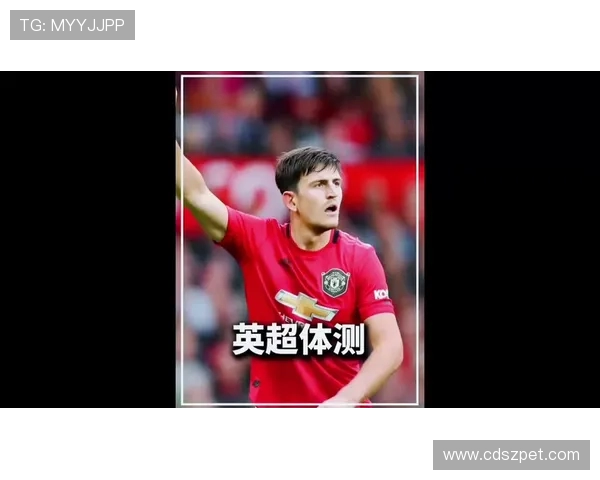 英超哪个球员身体最壮:体测与实战数据对比