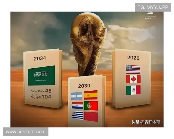 2026世界杯究竟在哪一年举办及相关背景解析举办时间揭秘全景