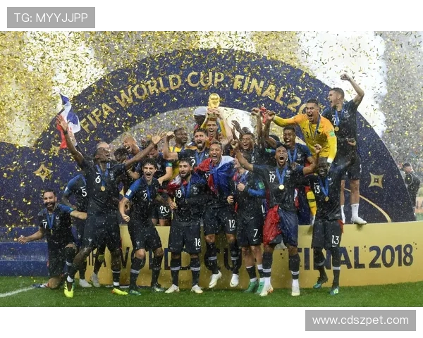 2018世界杯冠军法国队荣耀征程与新时代足球传奇启示录全景篇