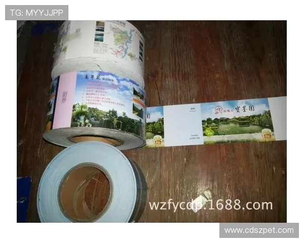 FIFA世界杯官网门票购买指南与观赛权益全解析安全流程防伪说明 FIFA世界杯官网门票购买指南与观赛权益全解析安全流程防伪说明