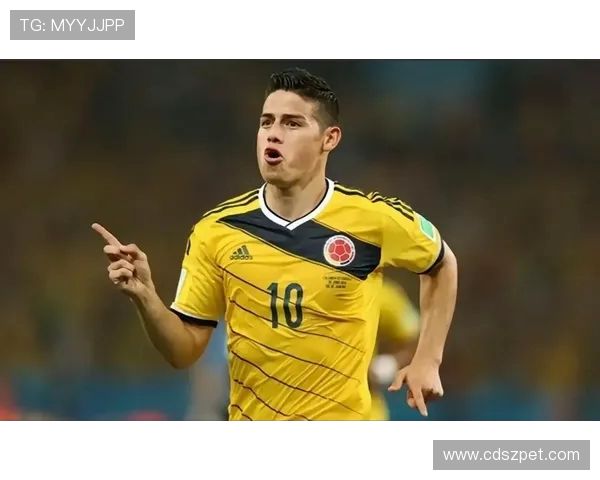 从巅峰对决到命运交错C罗与J罗的世界杯传奇之路十年沉浮与荣耀梦想 从巅峰对决到命运交错C罗与J罗的世界杯传奇之路十年沉浮与荣耀梦想