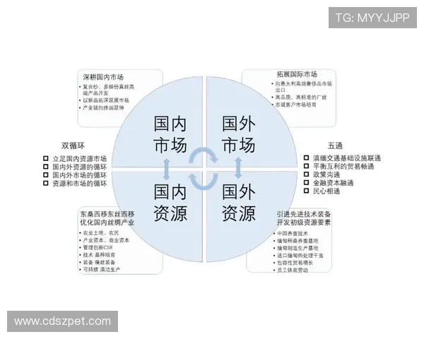围绕FC世界杯足球赛的全球格局与未来发展全方位趋势深度解析研 围绕FC世界杯足球赛的全球格局与未来发展全方位趋势深度解析研