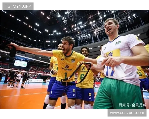 巴西队历届世界杯征程与最终名次全景回顾辉煌沉浮历史轨迹解析