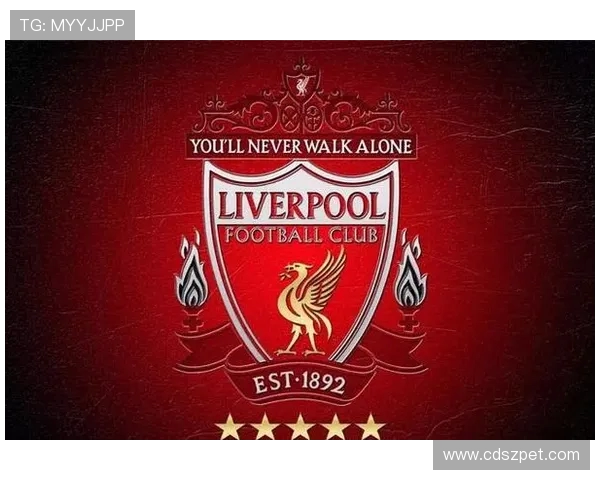 英超足球俱乐部球队相关全景解读为你还原幕后故事 英超足球俱乐部球队相关全景解读为你还原幕后故事