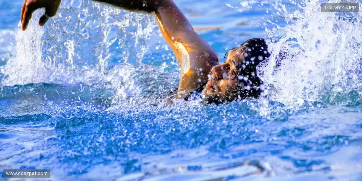 ⚡️速度与激情，赛道上的心跳时刻！🏎️